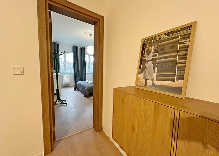 Spacious Bright Cozy 2bdr Fast Wi-fi Next To Park *